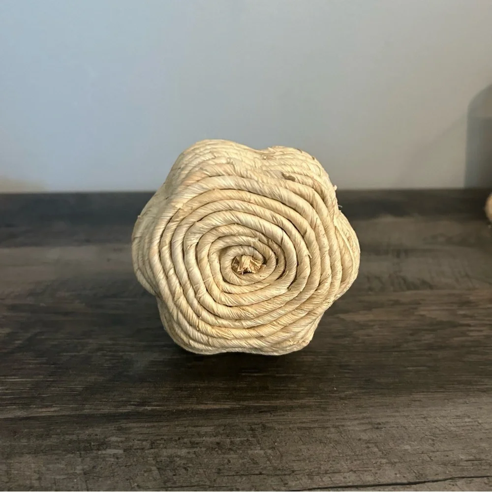 Target Threshold Natural Fall Boho Pumpkin